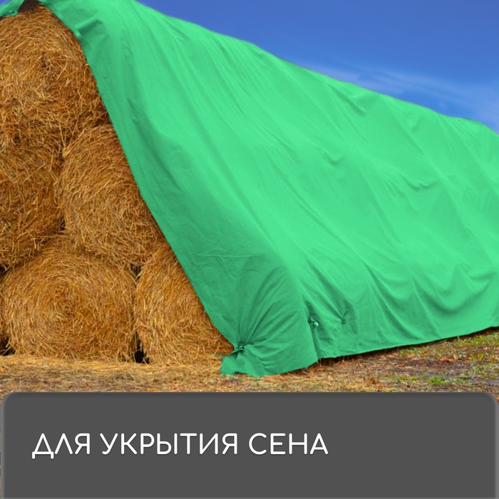 Тент защиный, 2 × 3 м, плотность 120 г/м², УФ, люверсы шаг 1 м, зелёный Тент защиный, 2 × 3 м, плотность 120 г/м², УФ, люверсы шаг 1 м, зелёный