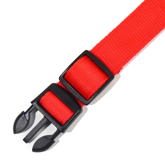 Ошейник с подсветкой размер XL, ОШ 52-60 х 2,5 см, 3 режима свечения красный Ошейник с подсветкой размер XL, ОШ 52-60 х 2,5 см, 3 режима свечения красный