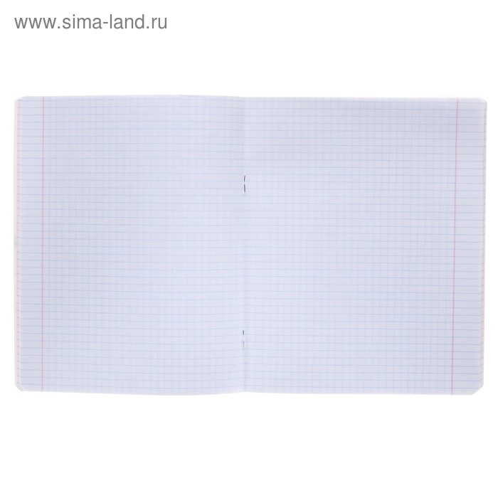 Тетрадь 48 листов в клетку "Фрукты", обложка мелованный картон, УФ-лак, МИКС