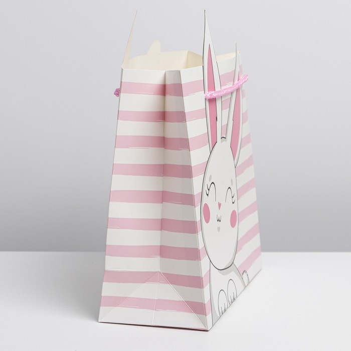 Пакет подарочный, упаковка, «Best day», 25 х 26 х 10 см Пакет подарочный, упаковка, «Best day», 25 х 26 х 10 см