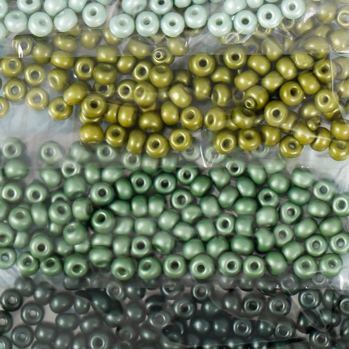 Бисер круглый 6/0  Бисер круглый 6/0 "Оттенки леса" 6 цветов х 10 гр 20х8 см