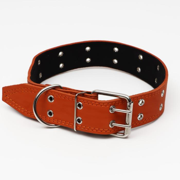 Ошейник кожаный на синтепоне, безразмерный, 83 х 4.5 см, ОШ 20-71 см, оранжевый Ошейник кожаный на синтепоне, безразмерный, 83 х 4.5 см, ОШ 20-71 см, оранжевый