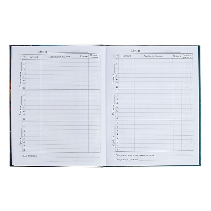 Дневник для 5-11 классов Дневник для 5-11 классов "Аниме. Девушка", твёрдая обложка, глянцевая ламинация, 48 листов