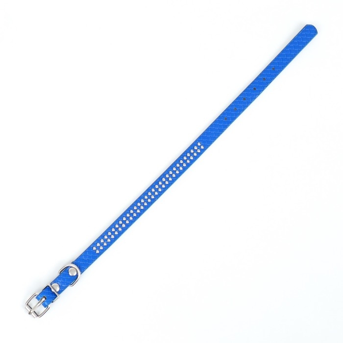 Ошейник рифленый с 2 рядами клепок, 33 х 1,2 см, ОШ 23-29, синий Ошейник рифленый с 2 рядами клепок, 33 х 1,2 см, ОШ 23-29, синий