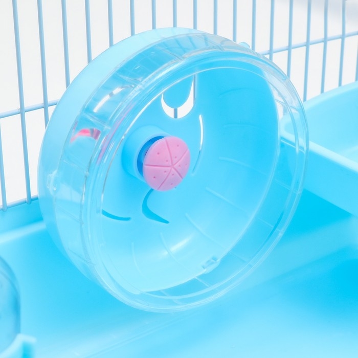 Клетка для грызунов Клетка для грызунов "Пижон", с наполнением 47 х 30 х 27 см, голубая