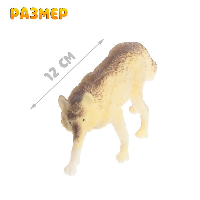 Набор животных «Лесные звери», 6 фигурок