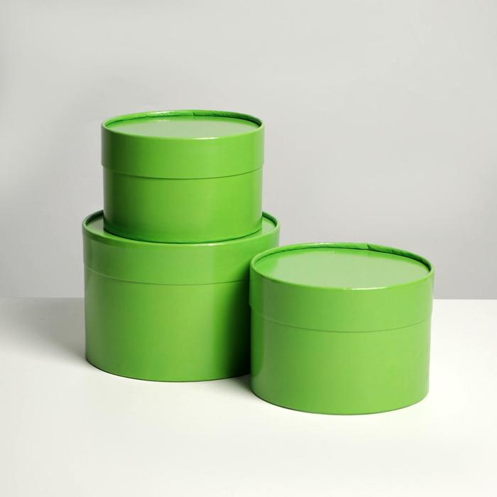 Набор шляпных коробок 3 в 1 салатовый, упаковка подарочная, 16 х 10, 14 х 9, 13 х 8,5 см Набор шляпных коробок 3 в 1 салатовый, упаковка подарочная, 16 х 10, 14 х 9, 13 х 8,5 см