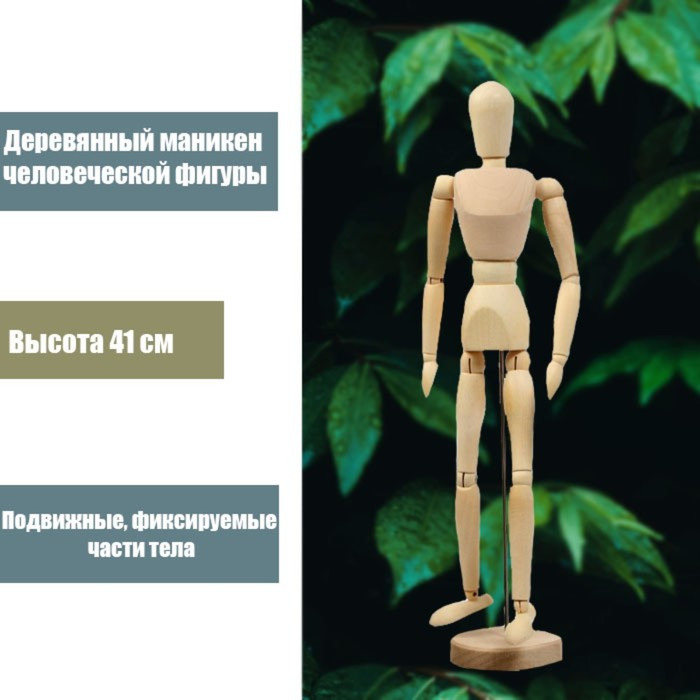 Деревянная модель - Человек 41 см Деревянная модель - Человек 41 см