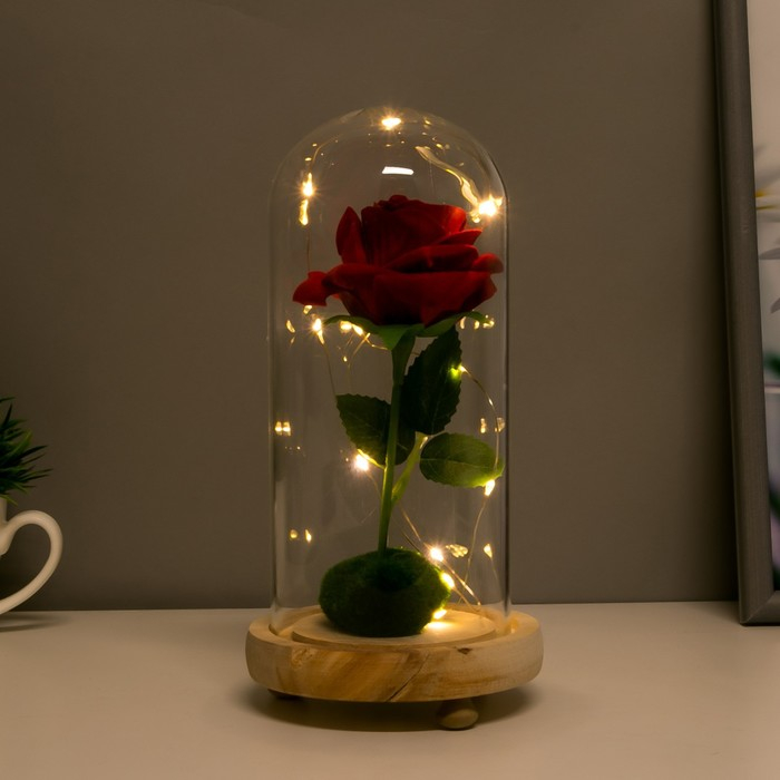 Ночник Ночник "Колба с алой розой" LED от батареек 3ААА 19,5х9,5х9,5 см RISALUX