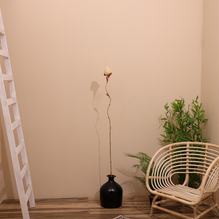Сухоцвет на бамбуковом стебле 150 см белый Сухоцвет на бамбуковом стебле 150 см белый