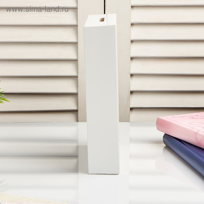 Копилка интерьерная пластик Копилка интерьерная пластик "Позитив" 17х12х3,8 см