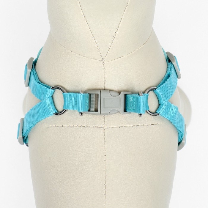 Комплект с мягкой шлейкой, быстросъемный, L, поводок 140 см, ОШ 49-56 см, ОГ 56-68 см, бирюзовый Комплект с мягкой шлейкой, быстросъемный, L, поводок 140 см, ОШ 49-56 см, ОГ 56-68 см, бирюзовый