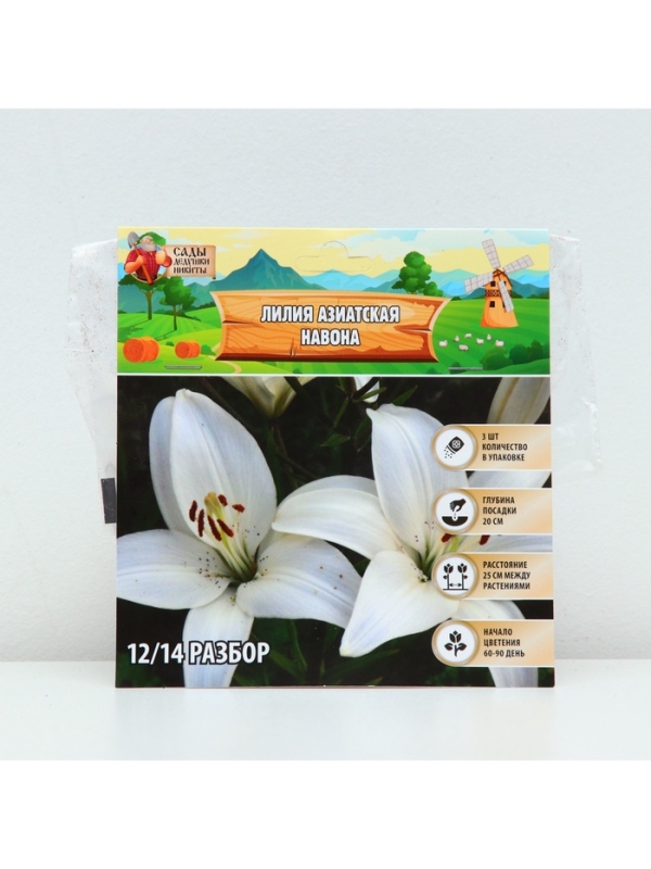 Лилия Азиатская «Навона», луковица в пакете с перфорацией, р-р 12/14, 3 шт. Лилия Азиатская «Навона», луковица в пакете с перфорацией, р-р 12/14, 3 шт.