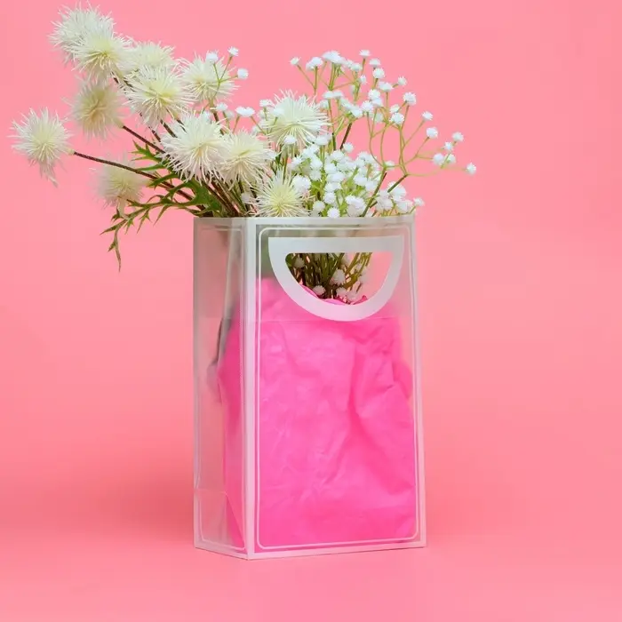 Пакет ПП с вырубной ручкой, прозрачный, 25&times;19&times;9 см, белый