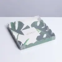 Коробка для печенья, кондитерская упаковка с PVC крышкой, &laquo;Эко&raquo;, 21 х 21 х 3 см