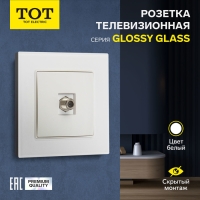 Розетка телевизионная одноместная TOT Glossy Glass, скрытая, стекло, белая