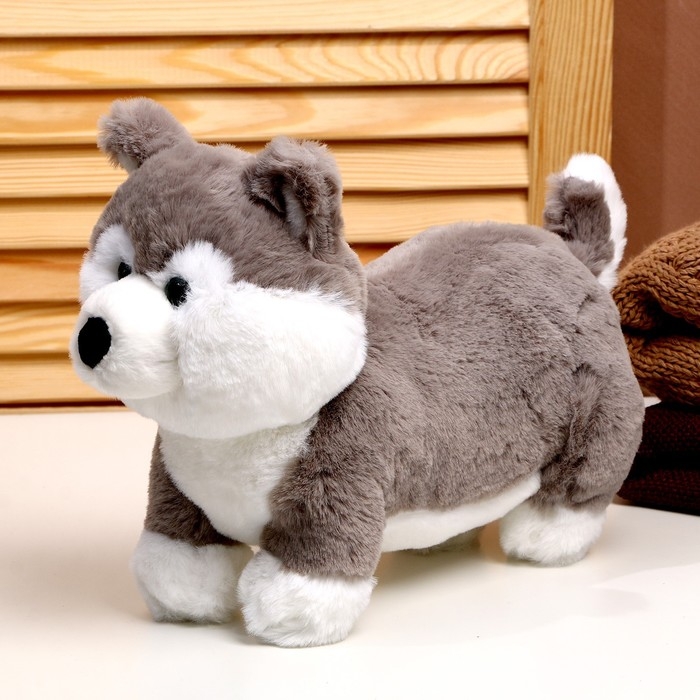 Мягкая игрушка «Хаски», размер 28 см, цвет серый Мягкая игрушка «Хаски», размер 28 см, цвет серый