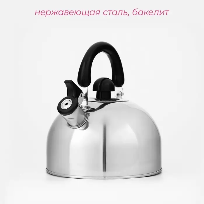 Чайник со свистком Доляна &laquo;Чёрная ночь&raquo;, 3 л, нержавеющая сталь, фиксированная ручка, хромированный