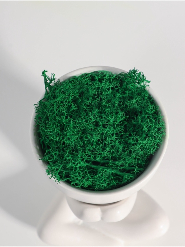 Кашпо керамика  Кашпо керамика "Мистер Грин" любитель тишины 10*7,5*8 см белый