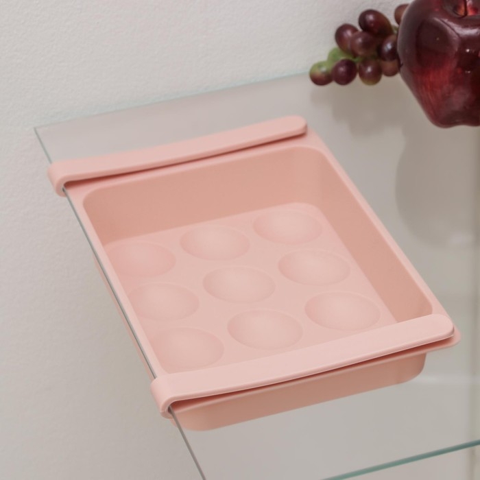 Полка для яиц в холодильник, подвесная, 12 ячеек, 26×17×5 см, МИКС