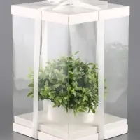 Коробка PVC, для цветов с лентой, 28&times;18&times;18 см, белый