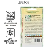 Семена Лиатрис "Белый", ц/п,  0,05 г
