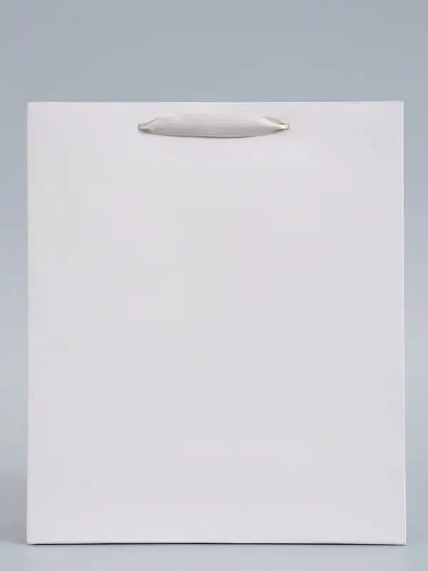 Пакет подарочный ламинированный, упаковка, &laquo;Молочный&raquo;, M 26&times;30&times;9 см