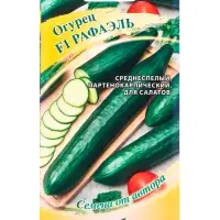 Семена Огурец &laquo;Рафаэль&raquo; F1, 10 шт., &laquo;Гавриш&raquo;