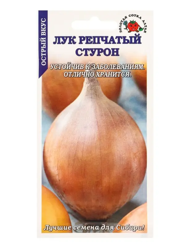 Семена Лук Стурон /Сотка/ 1г/ срендепозд. 80-100г./*800 Семена Лук Стурон /Сотка/ 1г/ срендепозд. 80-100г./*800