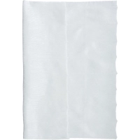 Салфетки хозяйственные Luscan спанлейс 40г/м2, 22х23см, 70л/рул