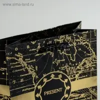 Пакет подарочный ламинированный, упаковка, &laquo;Gold present&raquo;, S 12 х 15 х 5.5 см