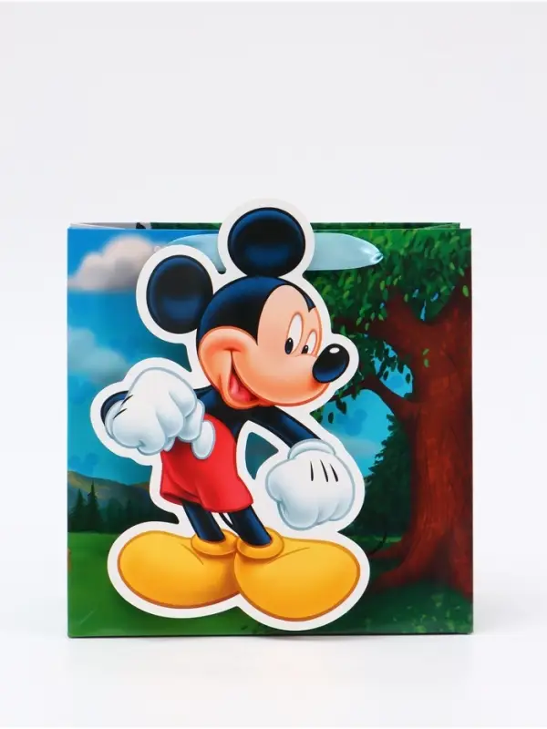 Пакет подарочный &laquo;Мышонок&raquo;, 22 &times; 22 &times; 10 см