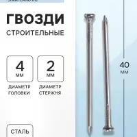 Гвозди ТУНДРА, строительные, ГОСТ 4028-63, без покрытия, 2&times;40 мм, фасовка 1 кг