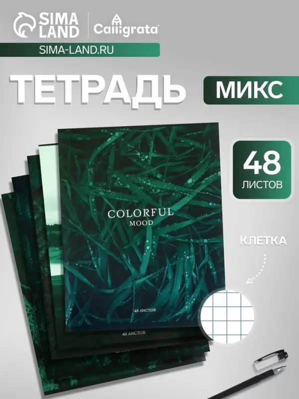 Тетрадь 48 листов в клетку, Calligrata &laquo;Изумруд&raquo;, МИКС