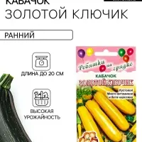 Семена Кабачок &laquo;Золотой Ключик&raquo;, 13 шт., &laquo;Дом семян&raquo;