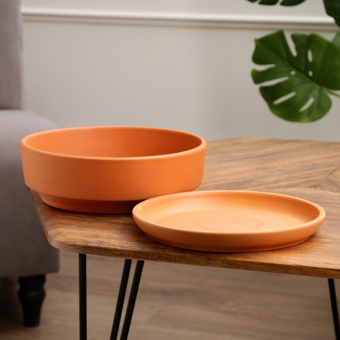 Горшок бонсайница Горшок бонсайница "Огма" для кактусов и суккулентов, терракот, 3 л