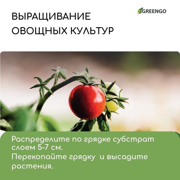 Субстрат кокосовый в брикете, 65 л, 30% чипсы и 70% торф, Greengo Субстрат кокосовый в брикете, 65 л, 30% чипсы и 70% торф, Greengo