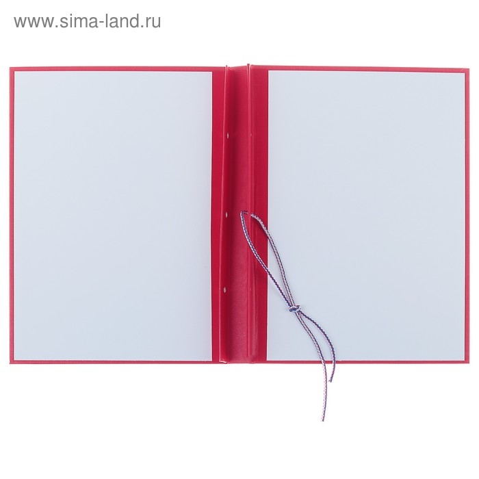 Папка Папка "Выпускная квалификационная работа" бумвинил, гребешки/сутаж, без бумаги, цвет красный (вместимость до 300 листов)