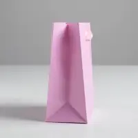 Пакет подарочный, упаковка, &laquo;Розовый&raquo;, 12&times;15&times;5.5