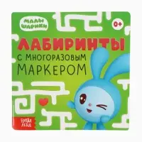 Набор книг "Многоразовые лабиринты", 2 книги по 12 стр., 16х16 см, Малышарики