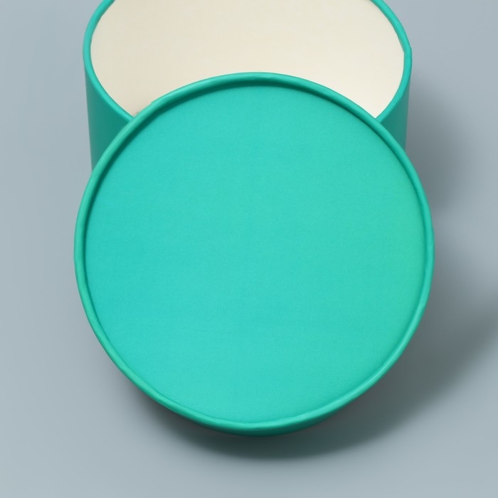 Коробка подарочная, упаковка, «Мята», 13 х 9 см Коробка подарочная, упаковка, «Мята», 13 х 9 см