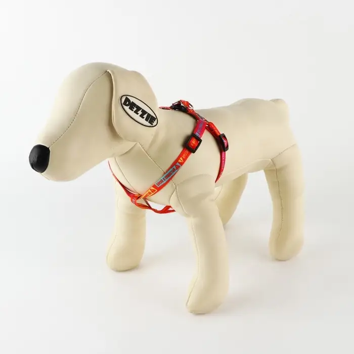 Поводок «Дикий и пушистый» 120×1 см, шлейка 24-36 см