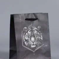 Пакет подарочный "Сила характера" ламинированый 11,5 х 14,5 х 6,5 см