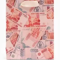 Пакет подарочный &laquo;Деньги&raquo;, 12&times;15&times;5.5 см