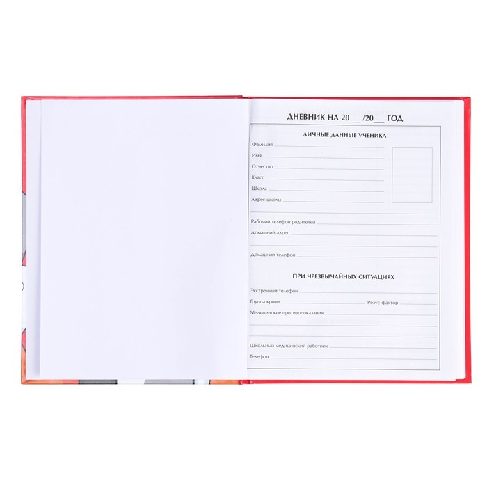 Дневник для 5-11 классов, "Котики", твердая обложка 7БЦ, глянцевая ламинация, 48 листов