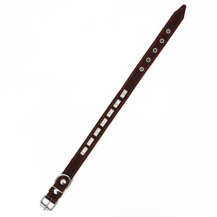 Ошейник кожаный на синтепоне, украшенный, 55 х 2.5 см, ОШ 35-45 см, коричневый Ошейник кожаный на синтепоне, украшенный, 55 х 2.5 см, ОШ 35-45 см, коричневый