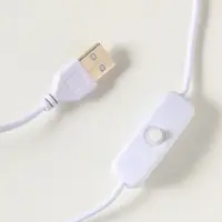 Фигурка светящаяся &laquo;Ганеша&raquo;, акрил, от USB, 8&times;10.8&times;14.5 см