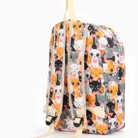 Рюкзак школьный &laquo;Котики&raquo;, с пеналом, 29&times;12&times;41 см, разноцветный