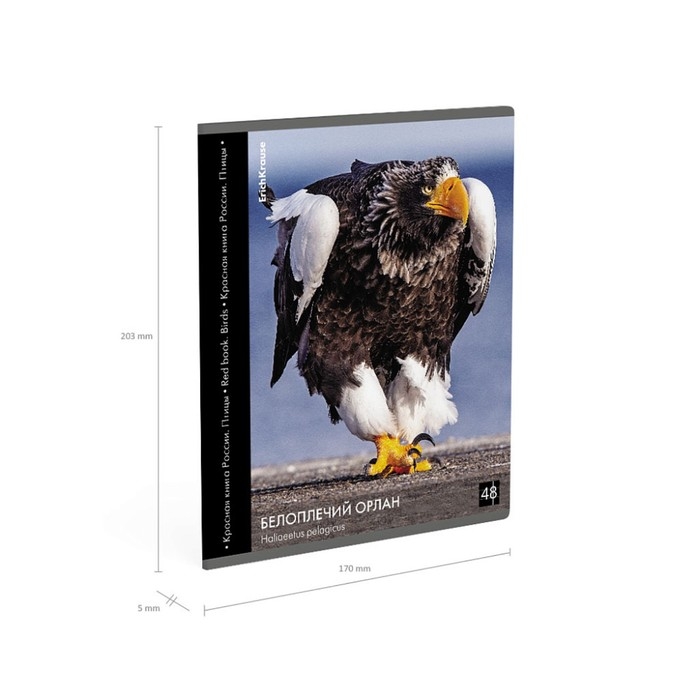 Тетрадь 48 листов в клетку, ErichKrause Тетрадь 48 листов в клетку, ErichKrause "Красная книга России. Птицы", обложка мелованный картон, глянцевая ламинация, блок офсет 100% белизна, МИКС