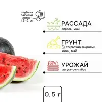 Семена Арбуз &laquo;Конкурент&raquo;, 0.5 г, раннеспелый, &laquo;Золотая Сотка Алтая&raquo;
